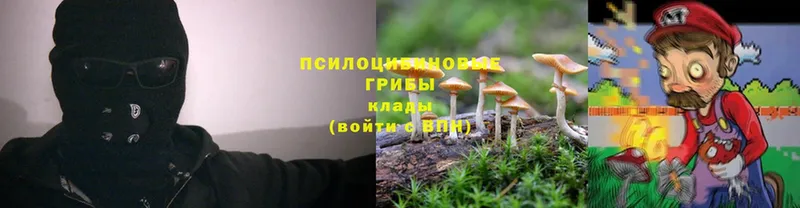 Псилоцибиновые грибы Psilocybe  что такое наркотик  Зеленоградск 